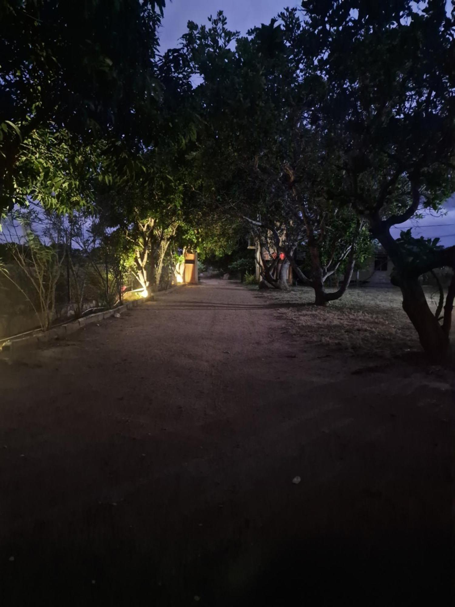 Hotel Birdwing Sigiriya Exterior foto
